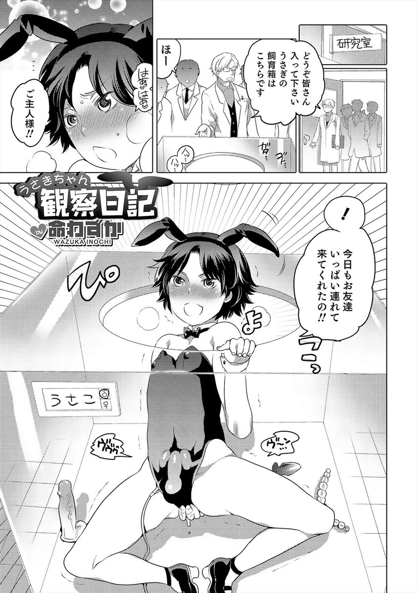 【エロ漫画】女装バニーガール姿のビッチな少年が妊娠するまで種付けセックスしまくり！お腹が妊婦みたいに膨らんだら、飼育箱から出てご主人様に種付けをおねだりする♡