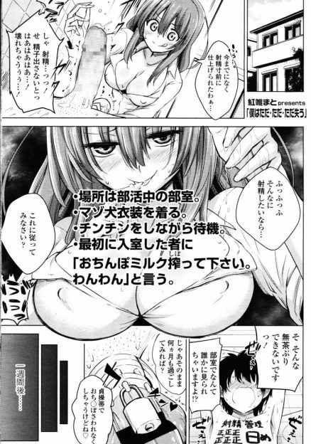 【エロ漫画】大好きな先輩女子に貞操帯をつけられ、射精管理されている男子。彼女が他の男と付き合うと誤解し、睾丸を潰してほしいとお願いしたら気に入られて手コキしてもらっちゃう！