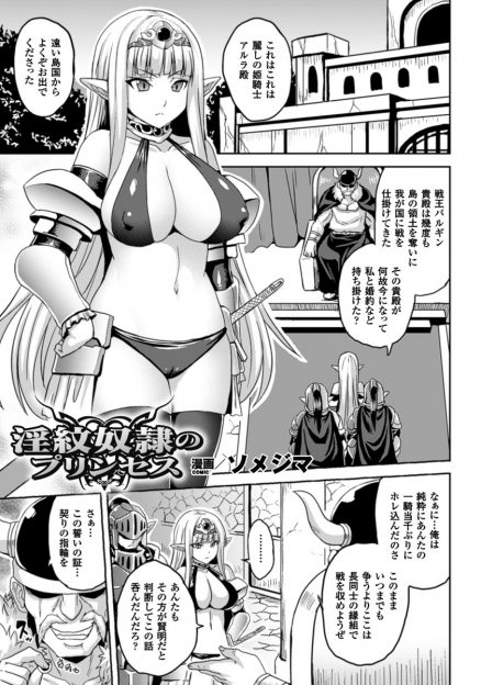 【エロ漫画】姫騎士が子宮に淫紋刻まれて感度倍増！輪姦乱交レイプされてザーメンまみれの性奴隷になってしまうｗｗｗ