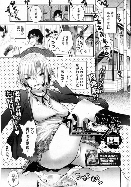 【エロ漫画】ヤンキーになった妹がまた男にふられ憂さ晴らしにちんこをもてあそばれていた兄だが、昔と変わらず兄のことが大好きだったことを知りいちゃラブ中出しセックスしたった！