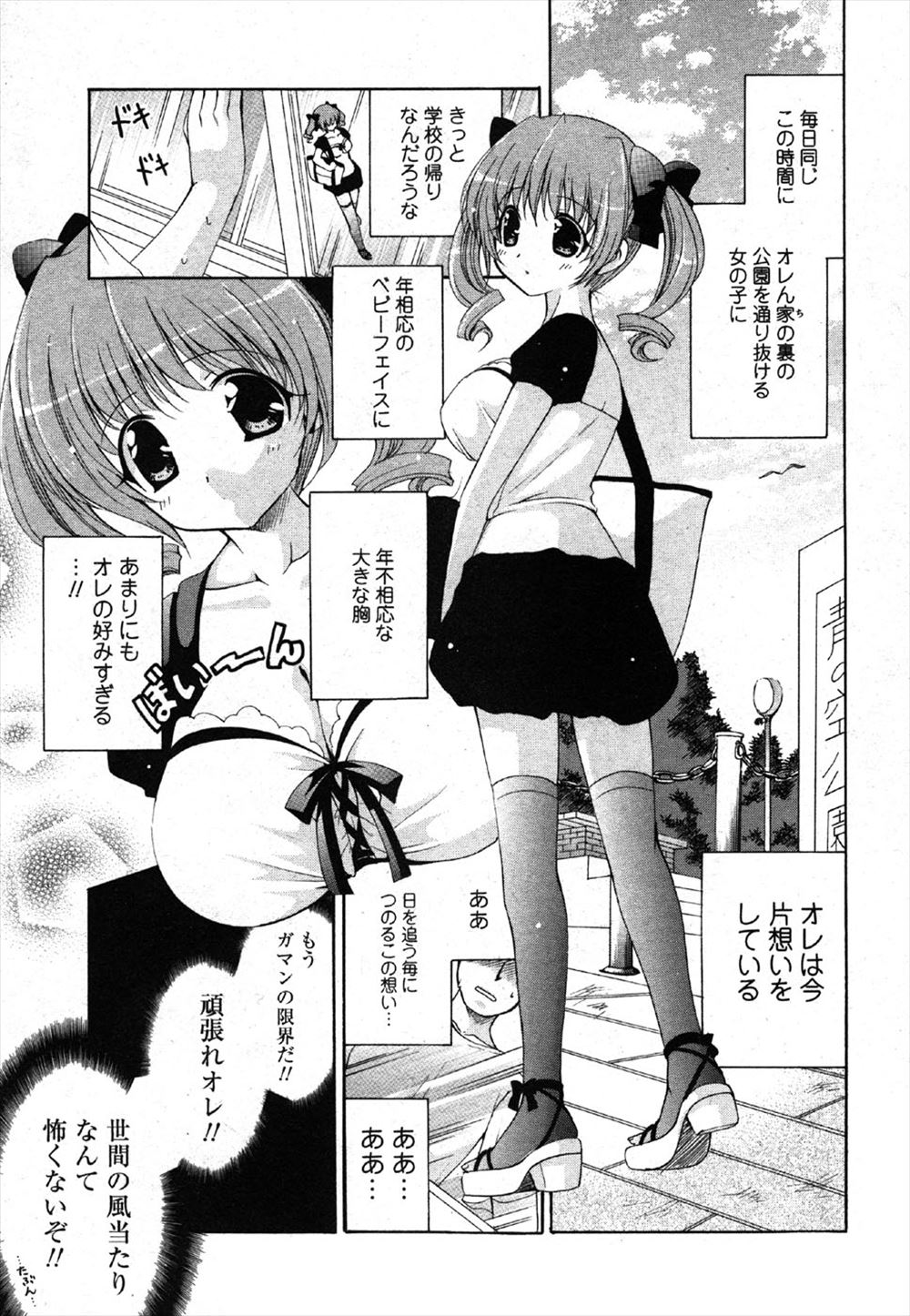 【エロ漫画】ロリ巨乳な美少女のことが好きすぎて公園で襲いかかり中出しレイプしたら、実はロリ巨乳ではなく合法ロリな人妻だった件ｗ