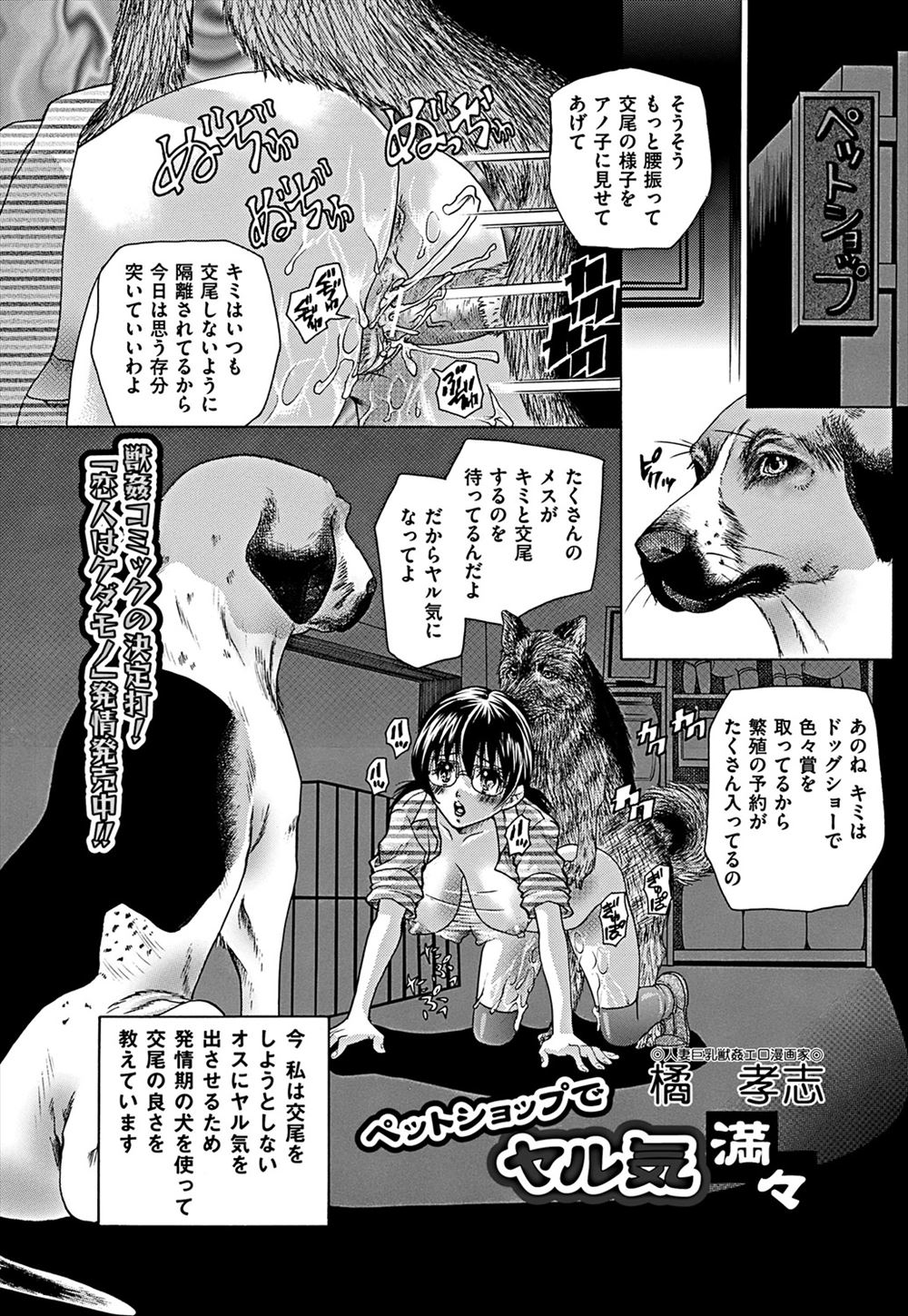 【エロ漫画】なかなか交尾をしてくれないオス犬をやる気にさせるために発情期の犬との獣姦セックスを見せつけ少しずつ慣らしていき3P獣姦セックスをするペットショップの巨乳店員ｗ
