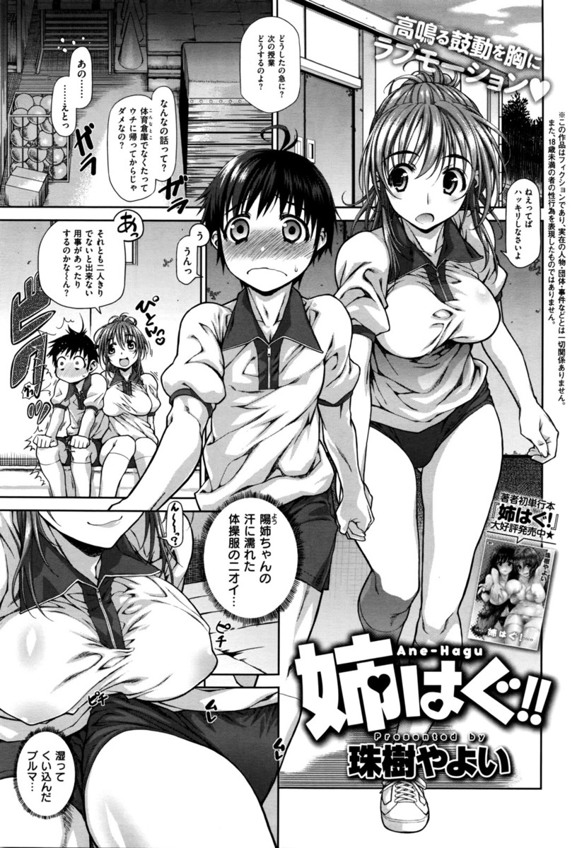 【エロ漫画】姉と近親相姦してからタガが外れてしまった少年が体育倉庫にブルマ姿の姉を連れ込んで激しく中出し近親相姦しまくる！