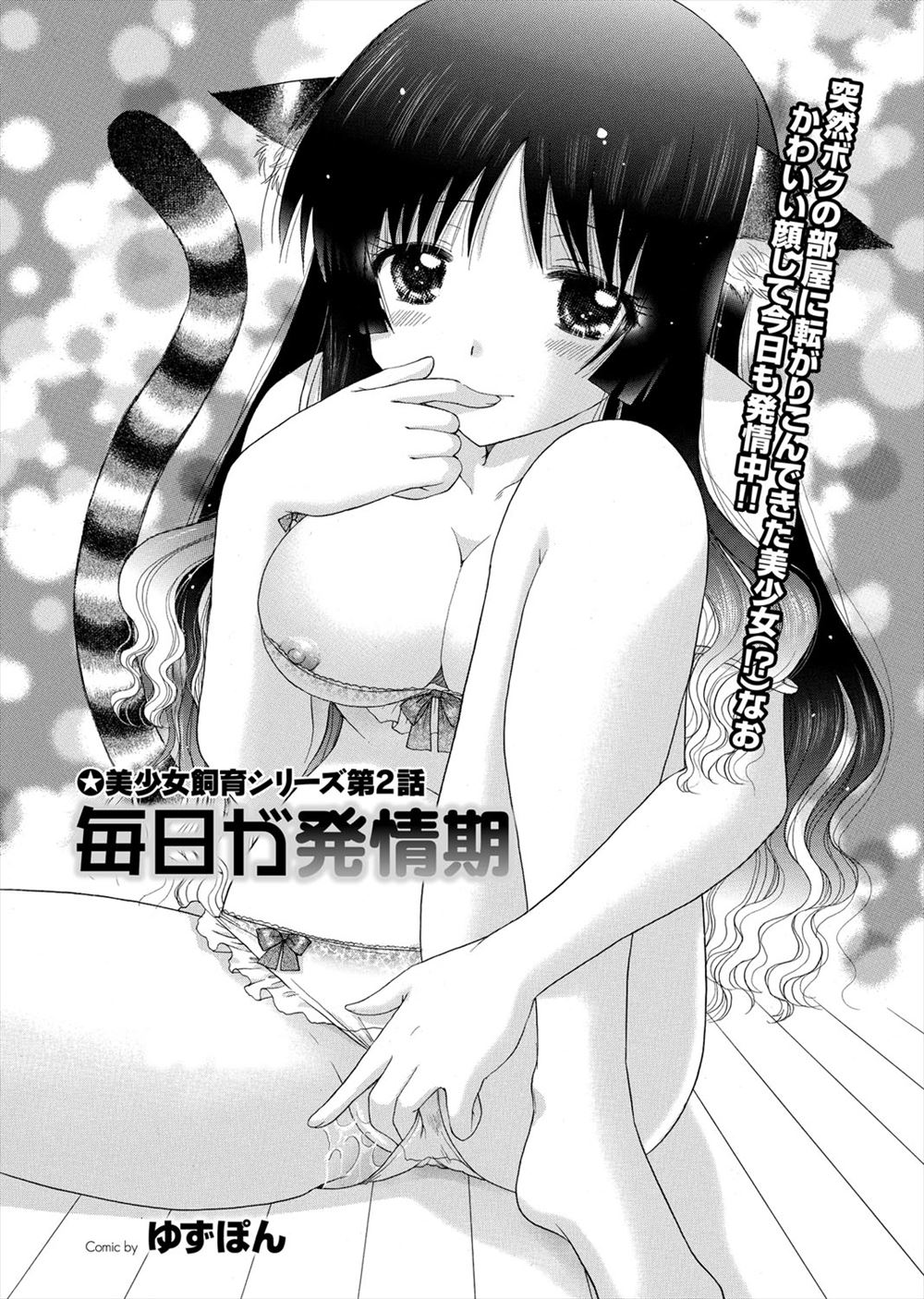 【エロ漫画】死んでしまった猫が巨乳猫耳美少女に生まれ変わり部屋にやってきて、毎日が発情期で中出しセックスしまくっている男♪