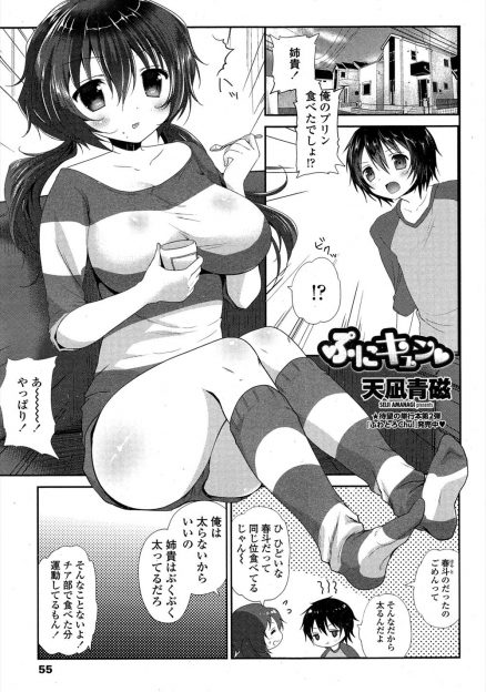 【エロ漫画】自分に自信満々な弟がチア部の姉のユニフォームを着て自分の姿に興奮し、姉に襲いかかり中出し近親相姦ｗ