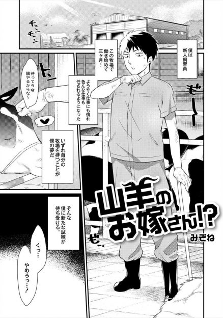 【エロ漫画】牧場で上半身は美少女なケンタウロスの担当をしている新人飼育員が種付けを任され、両思いだった彼女と本気のいちゃラブ種付けセックスをしてプロポーズする！