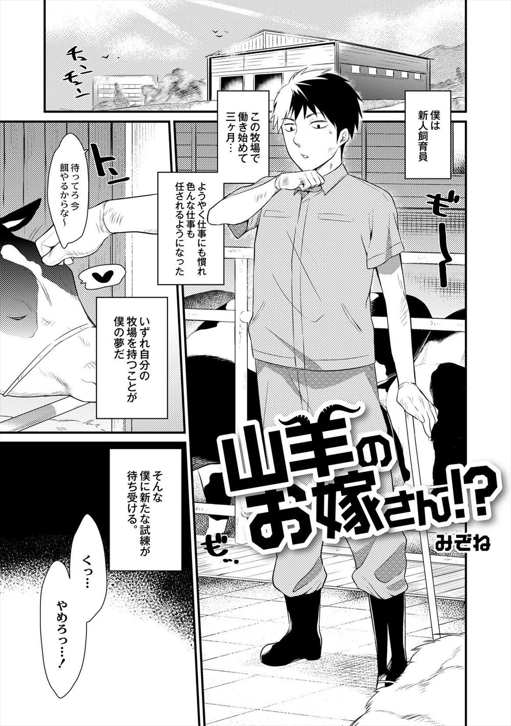 【エロ漫画】牧場で上半身は美少女なケンタウロスの担当をしている新人飼育員が種付けを任され、両思いだった彼女と本気のいちゃラブ種付けセックスをしてプロポーズする！