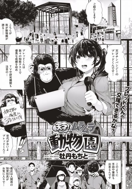 【エロ漫画】大好きな先輩が転勤すると聞いた爆乳飼育員が、天才チンパンジーに協力してもらいラッキースケベで中出し逆レイプしながら告白して大成功するｗ